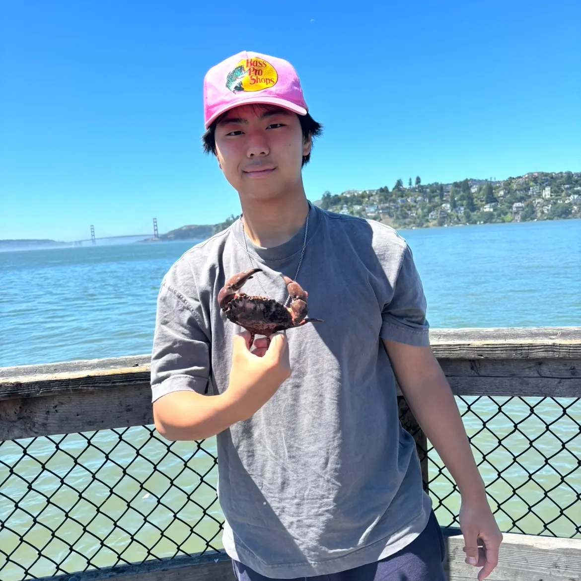The most recent Red rock crab catches on Fishbrain