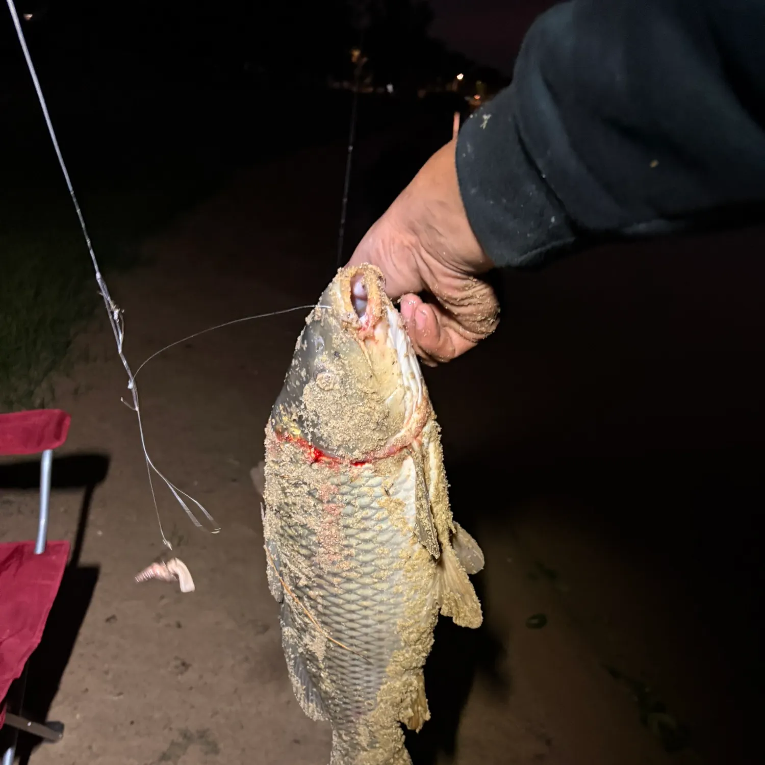 catch