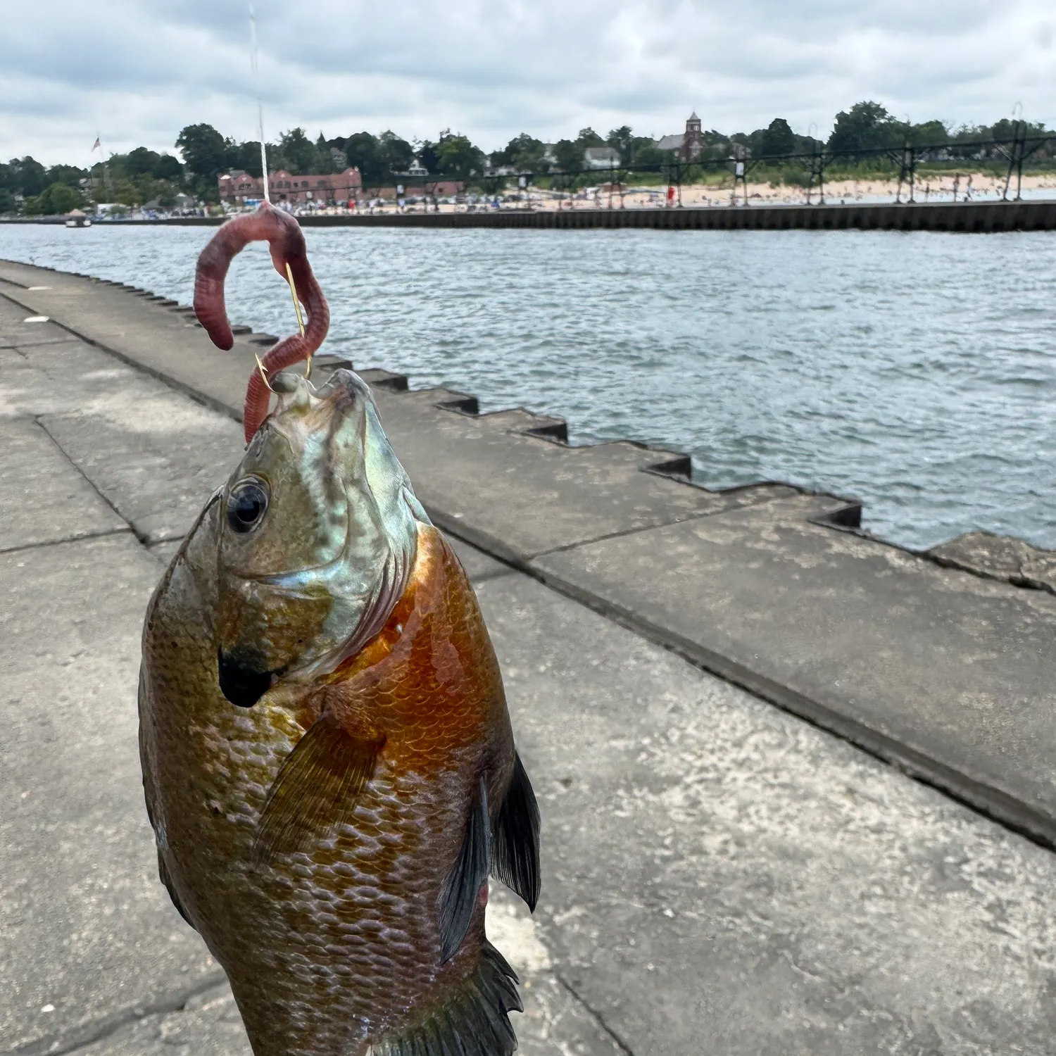 catch