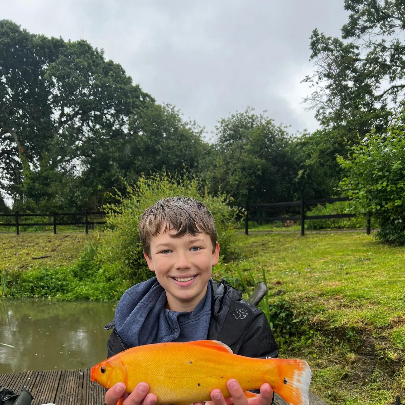 The most recent Golden tench catches on Fishbrain