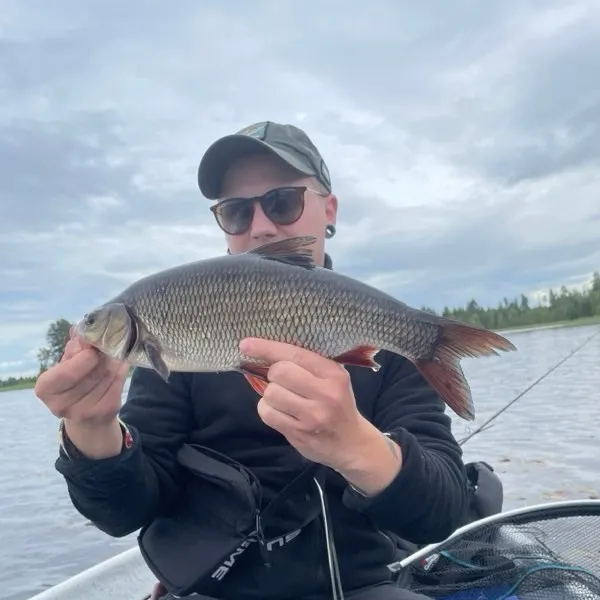The most recent Ide catches on Fishbrain