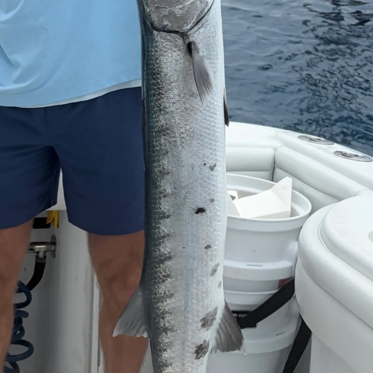The most recent Great barracuda catches on Fishbrain