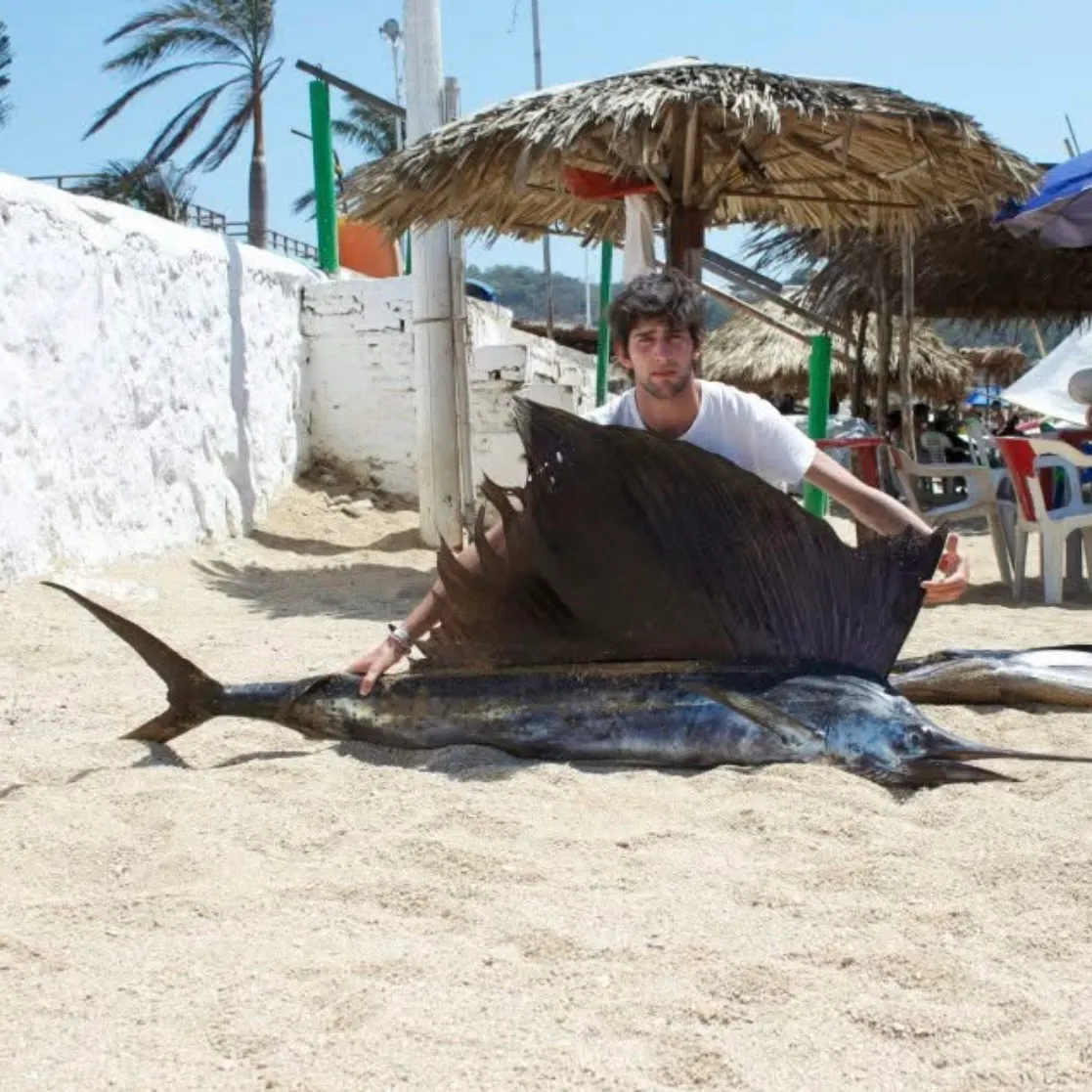 The most recent Indo-Pacific sailfish catches on Fishbrain