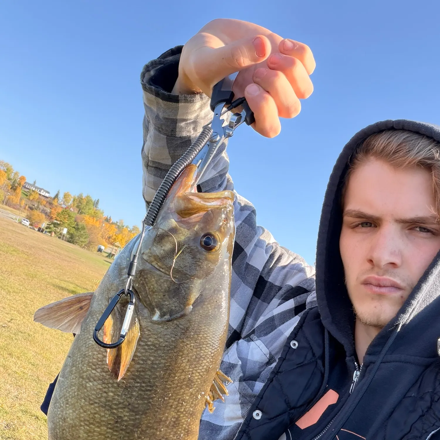 Smallmouth bass caught on Fishbrain