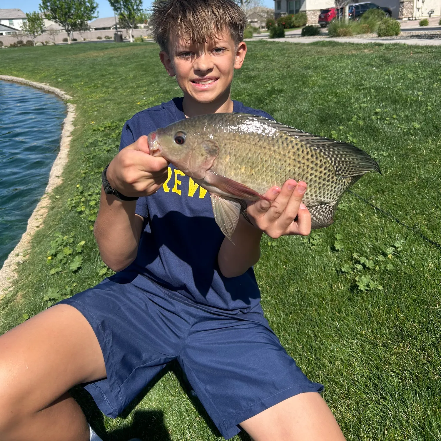 The most recent Redbreast tilapia catches on Fishbrain