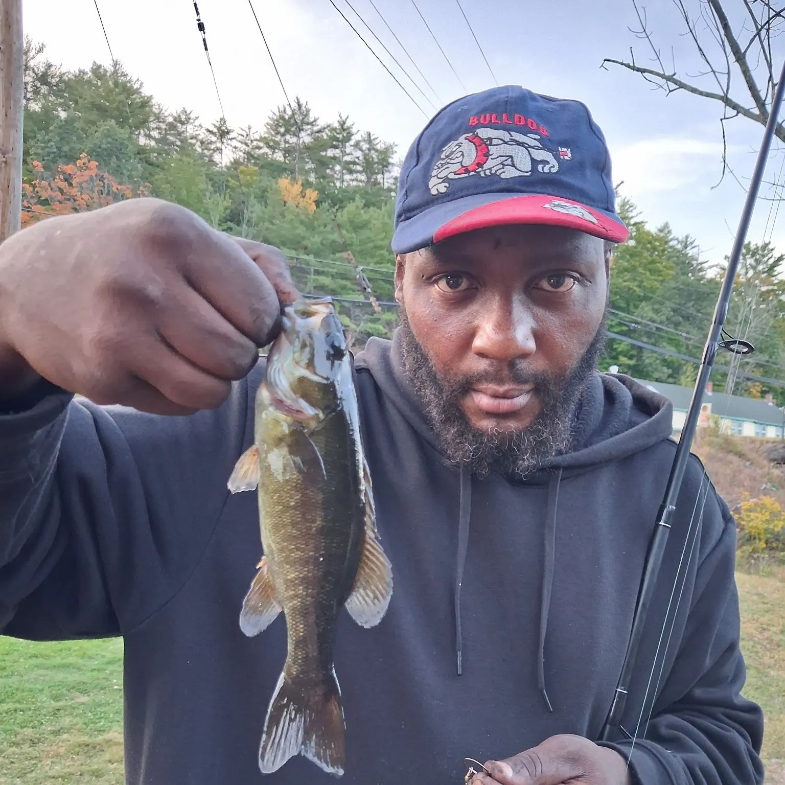 Smallmouth bass caught on Fishbrain