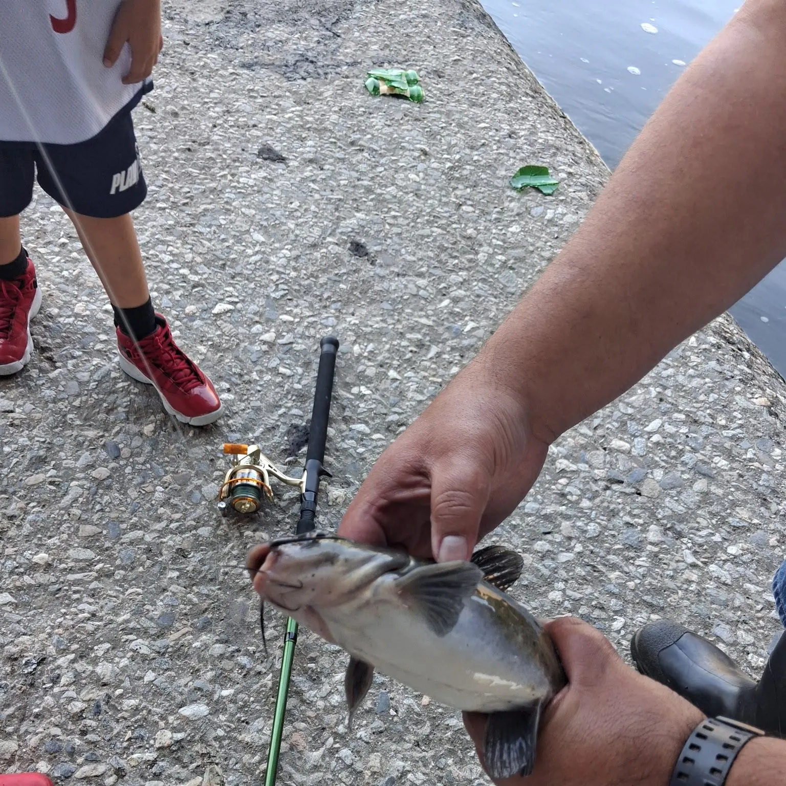 catch