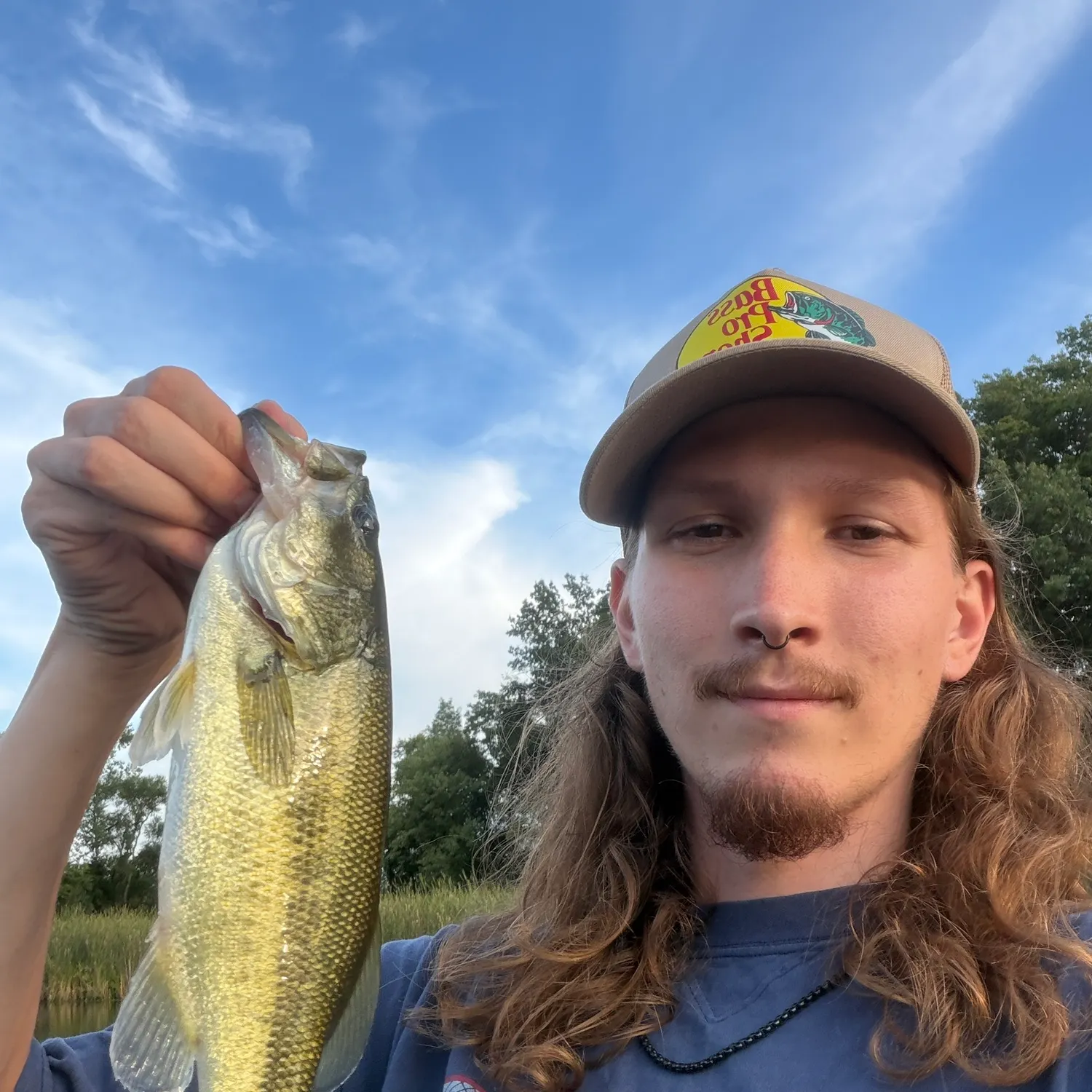 Largemouth bass caught on Fishbrain