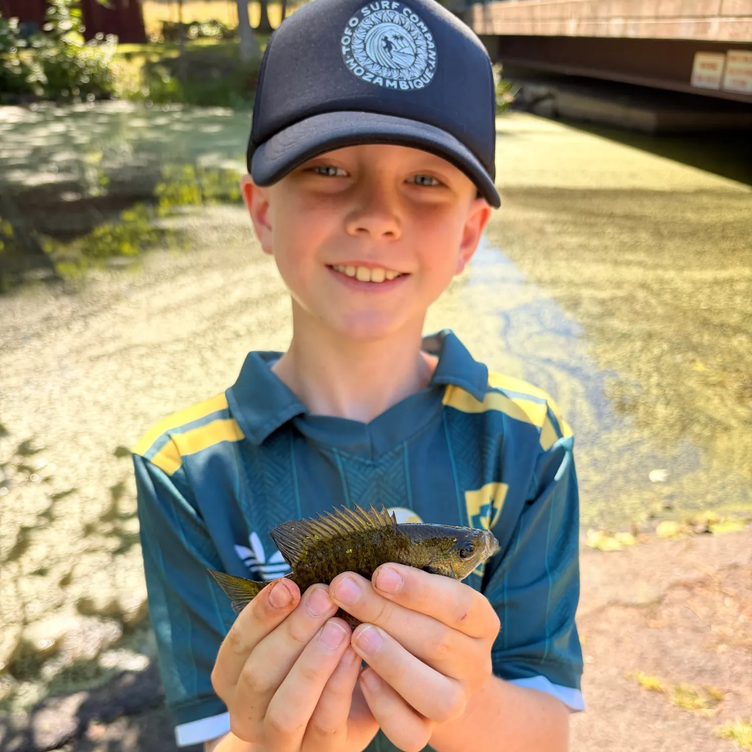 Bluegill caught on Fishbrain
