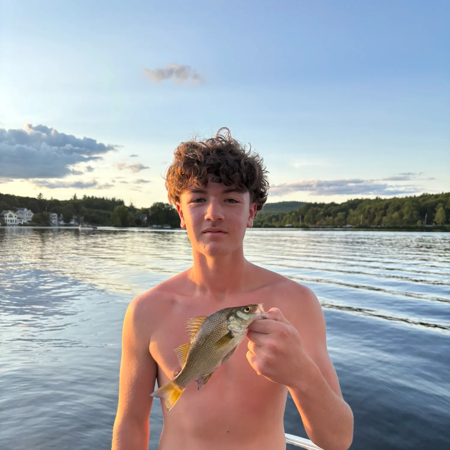 White perch caught on Fishbrain