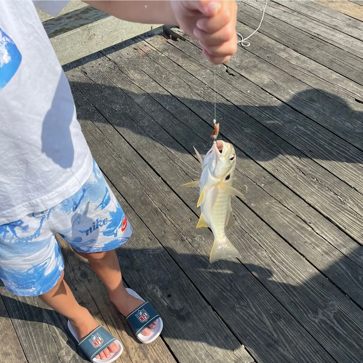 The most recent Spot croaker catches on Fishbrain