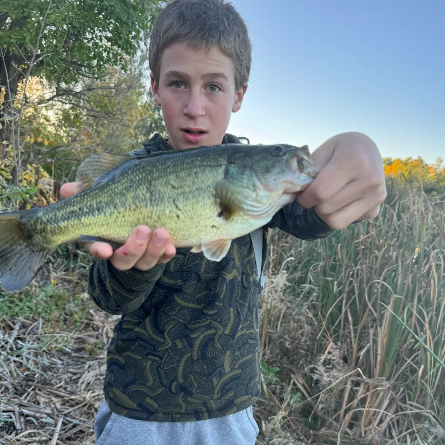 Largemouth bass caught on Fishbrain