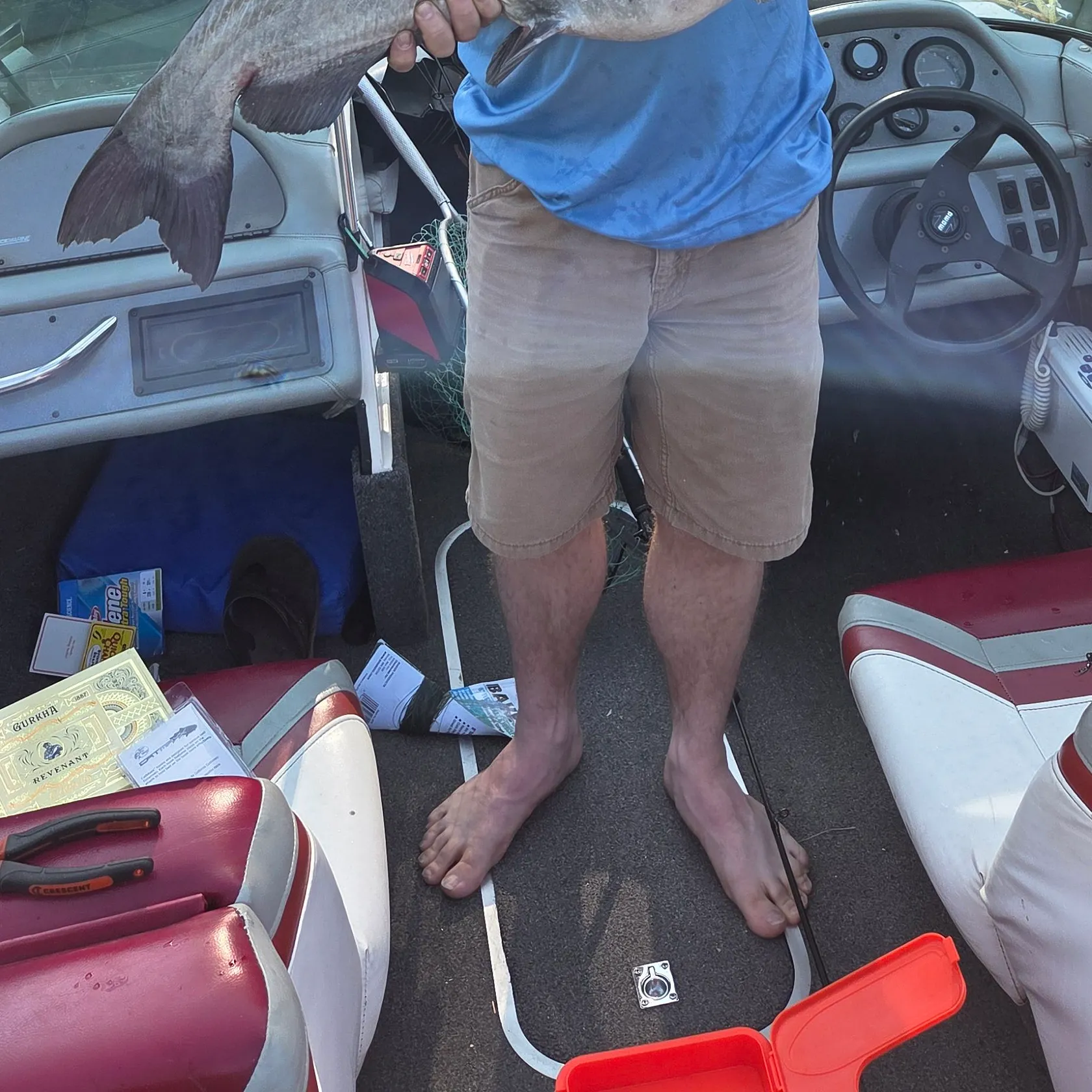 Blue catfish caught on Fishbrain