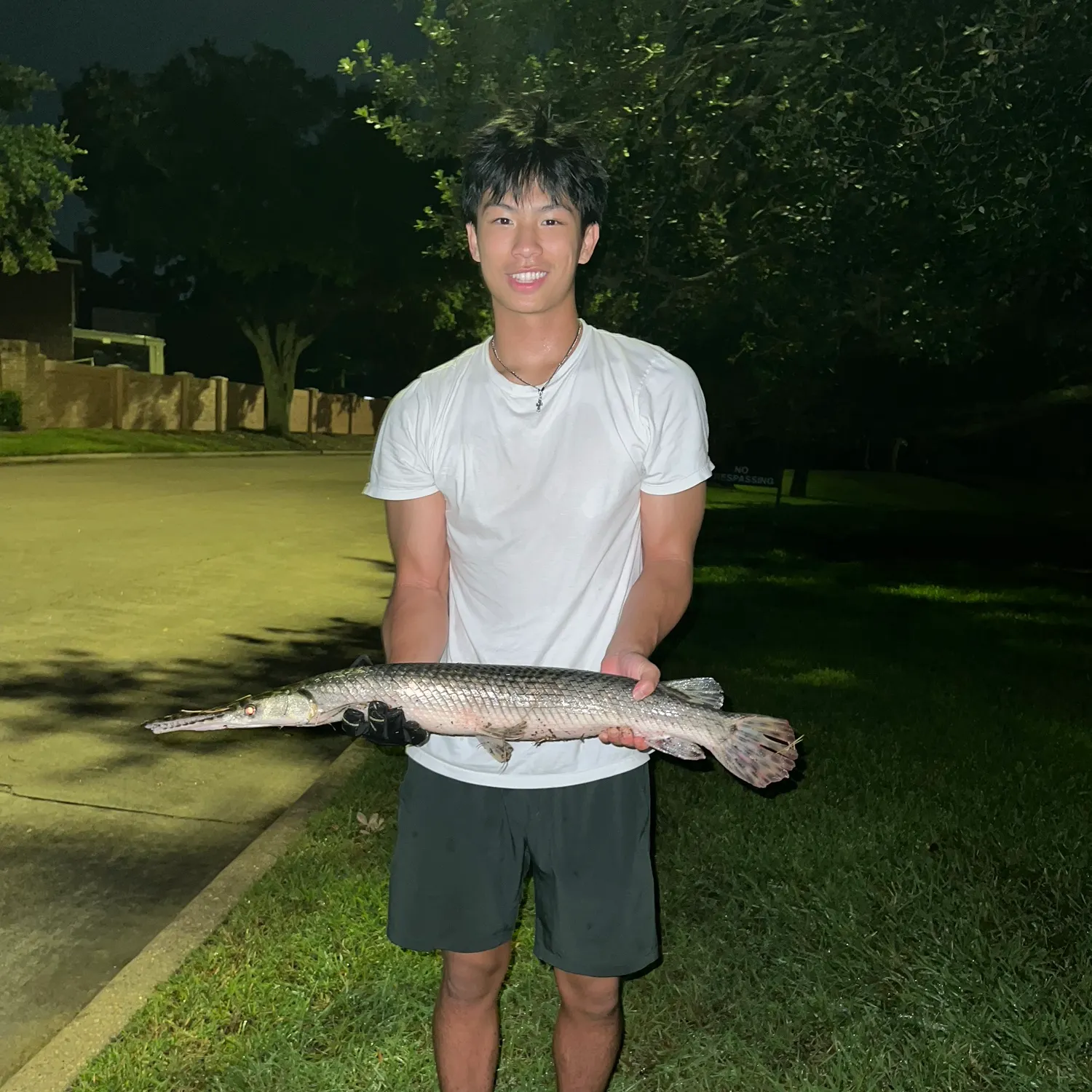 Shortnose gar caught on Fishbrain