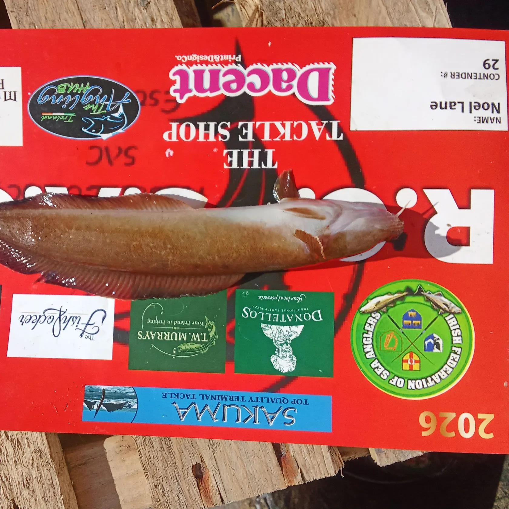 The most recent Goldfish catches on Fishbrain