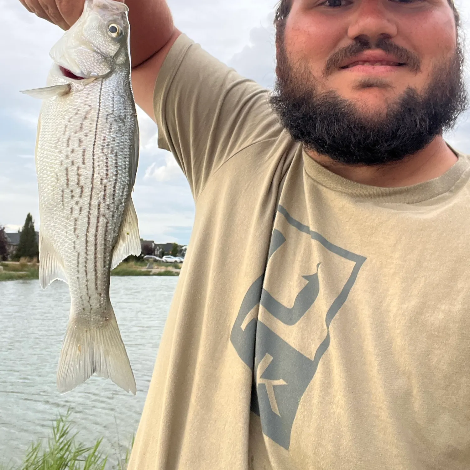 Wiper caught on Fishbrain