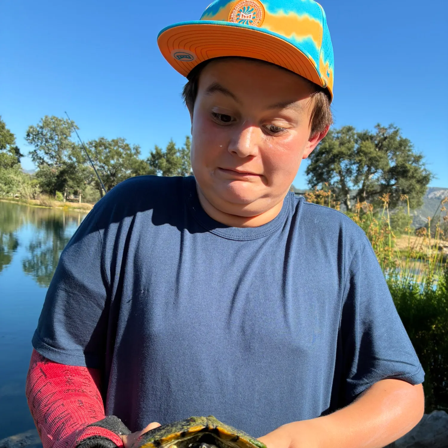 The most recent Common octopus catches on Fishbrain