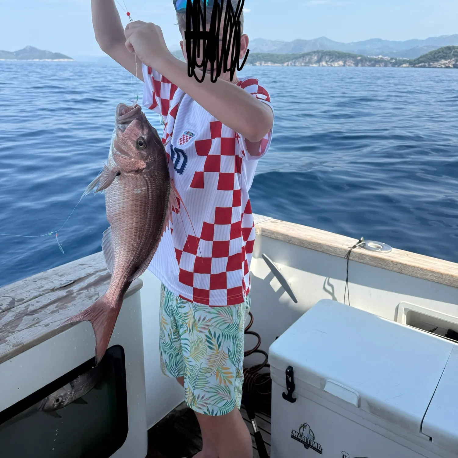 The most recent Pink dentex catches on Fishbrain