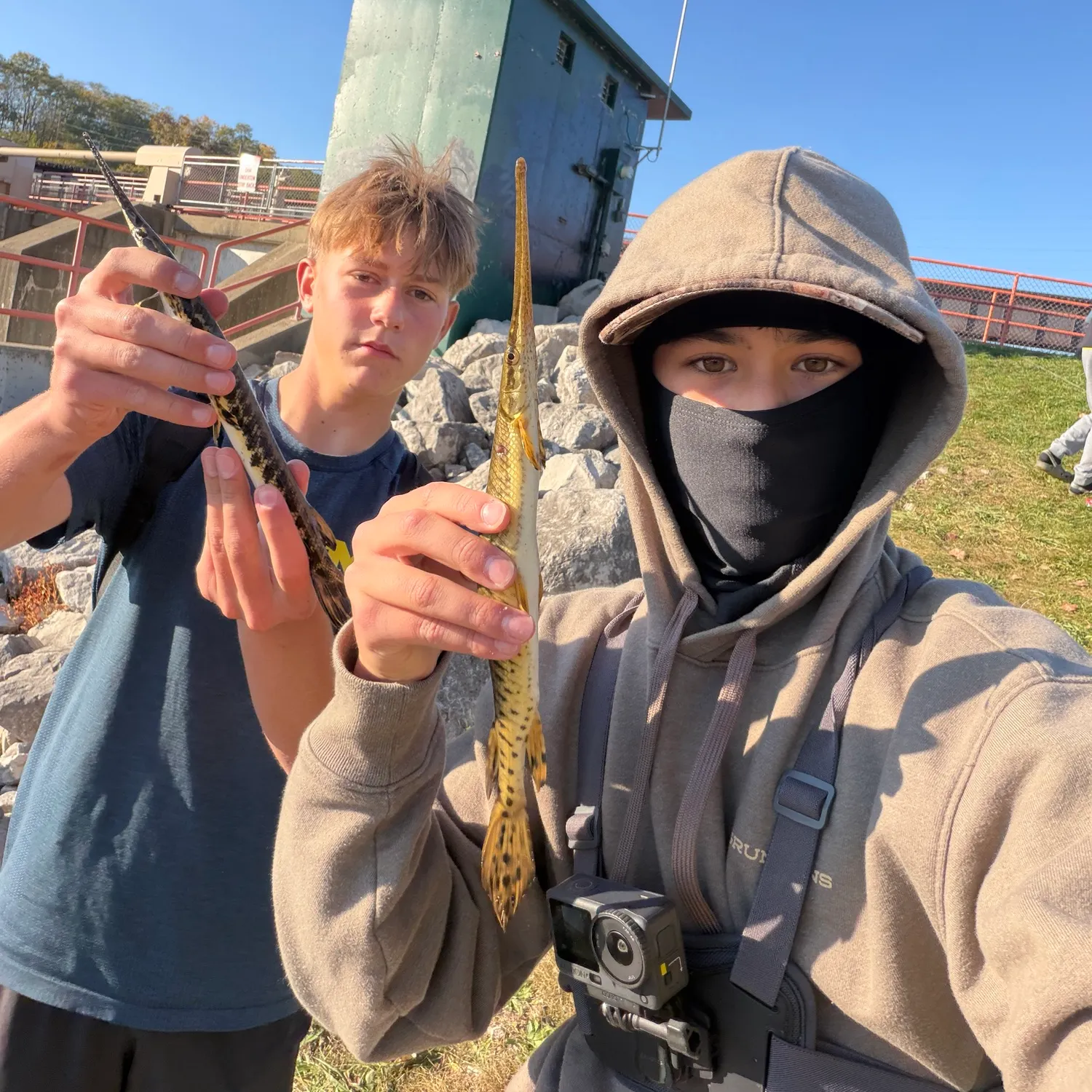The most recent Longnose gar catches on Fishbrain
