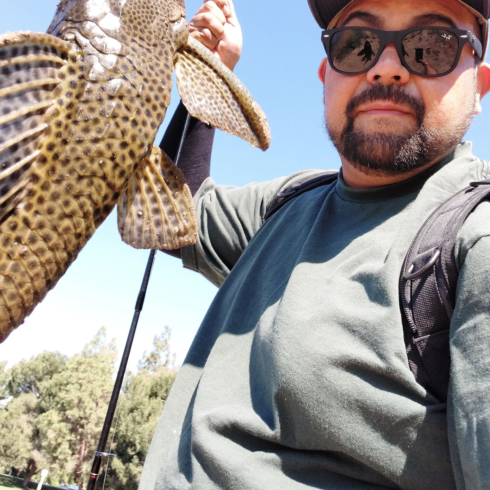 The most recent Orinoco sailfin catfish catches on Fishbrain
