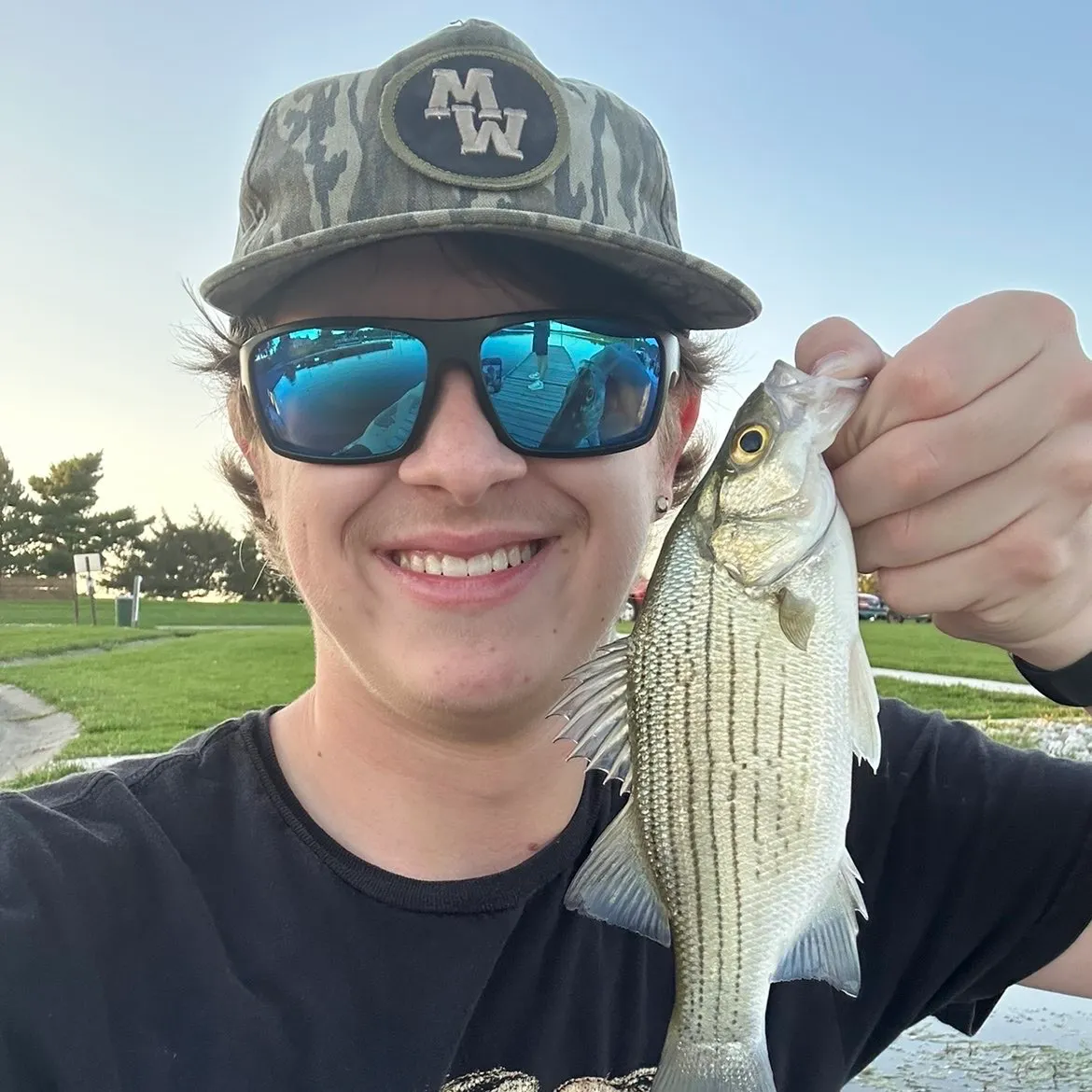 White bass caught on Fishbrain