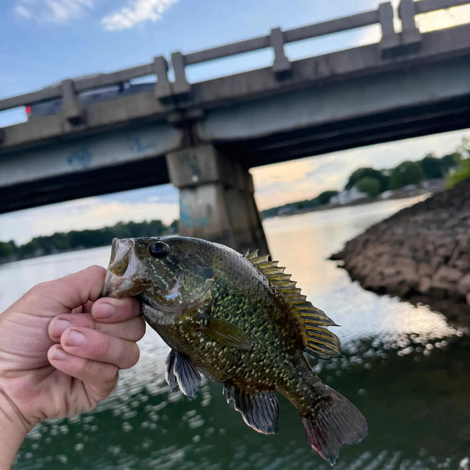catch
