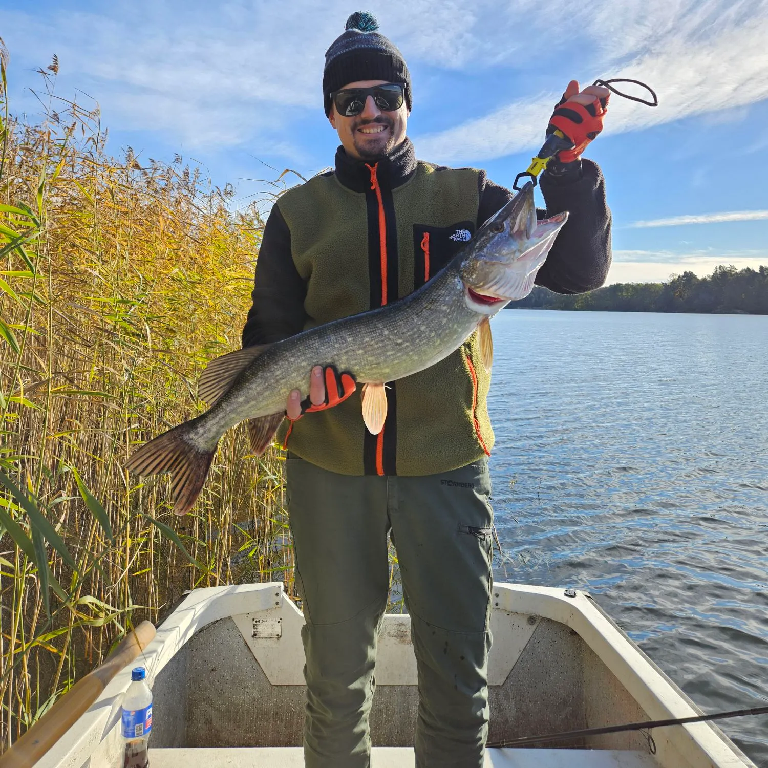 Northern pike caught on Fishbrain