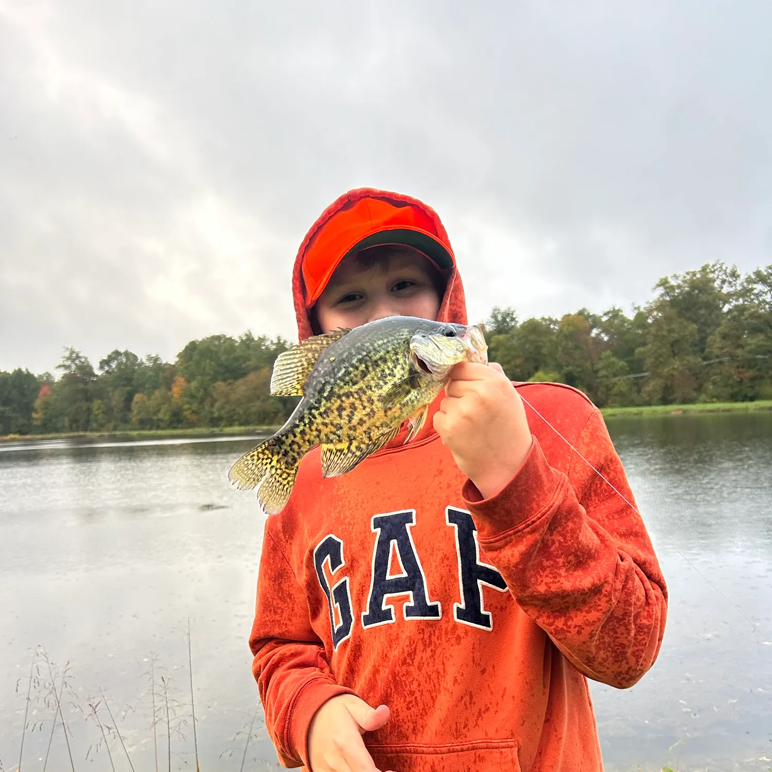 Black crappie caught on Fishbrain