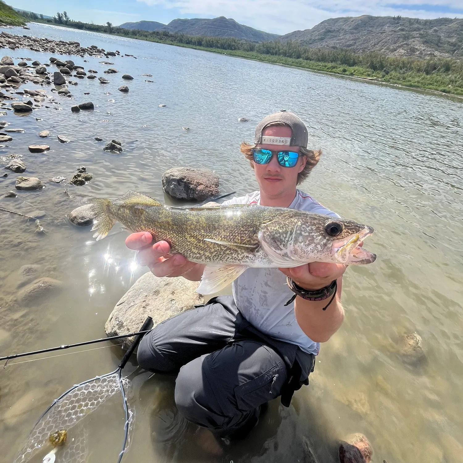 Sauger caught on Fishbrain