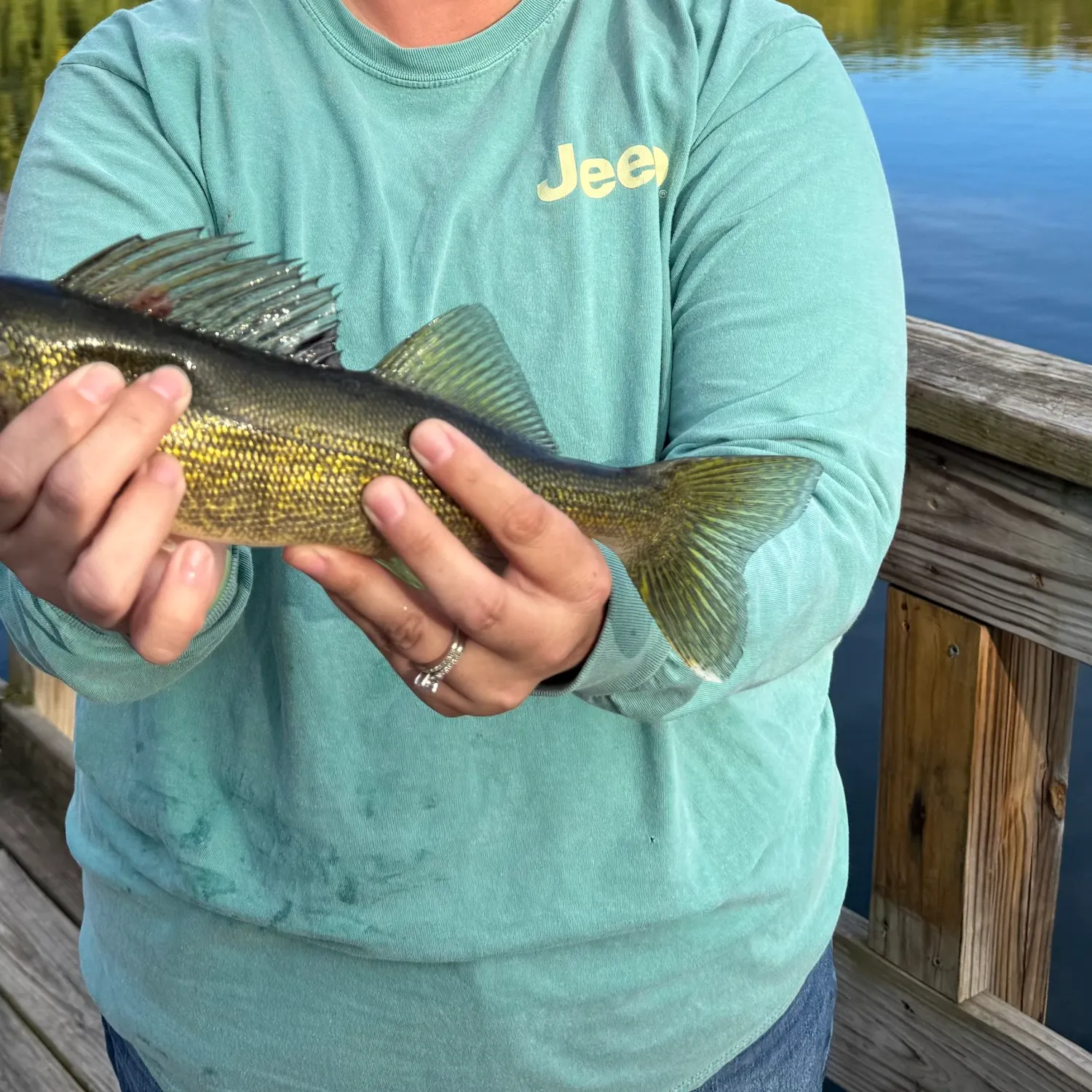 Walleye caught on Fishbrain
