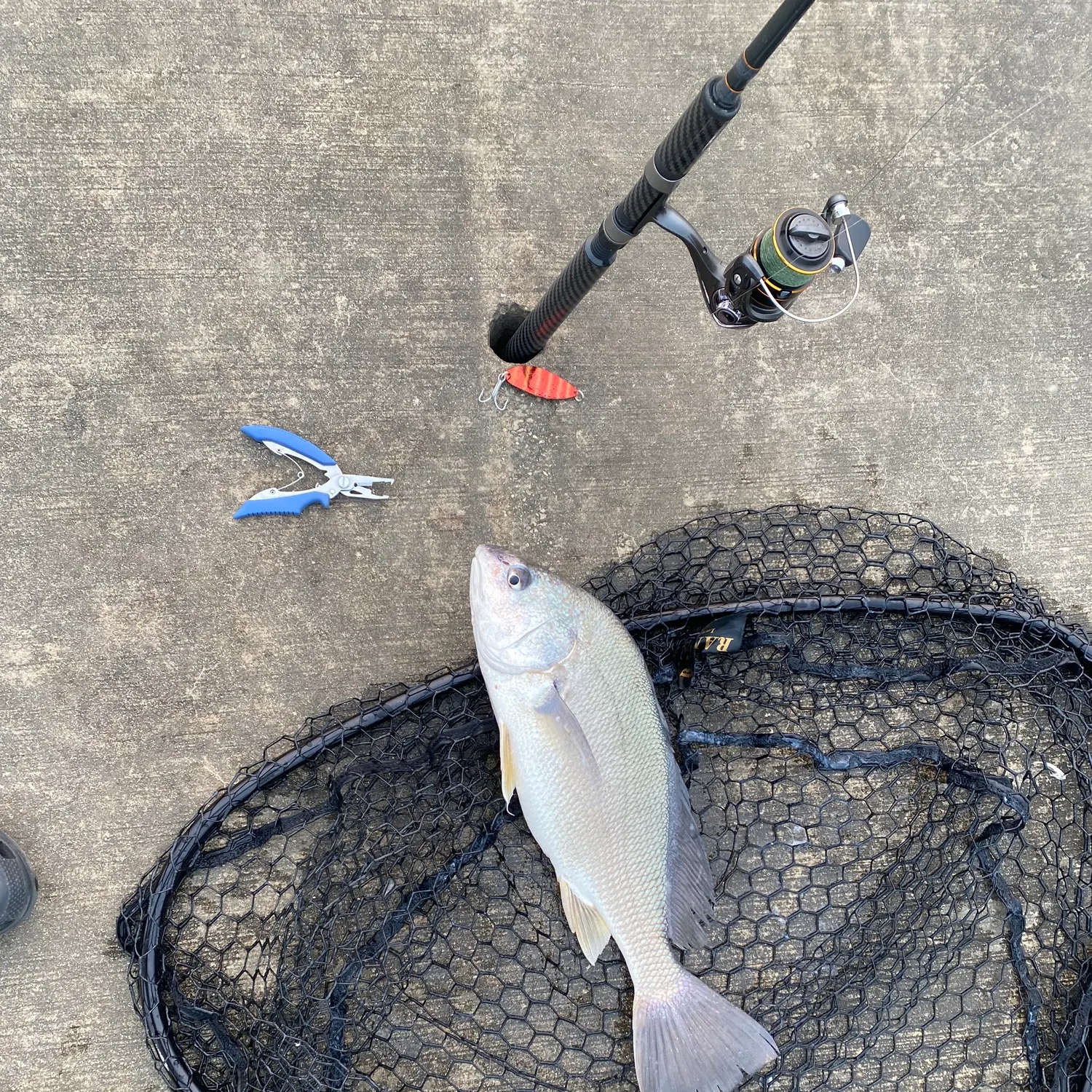 catch