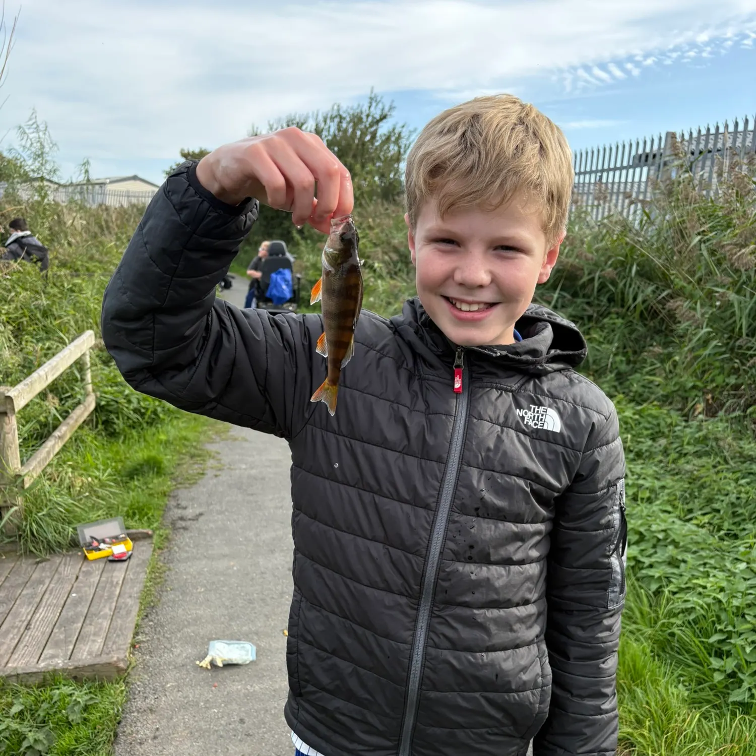 European perch caught on Fishbrain