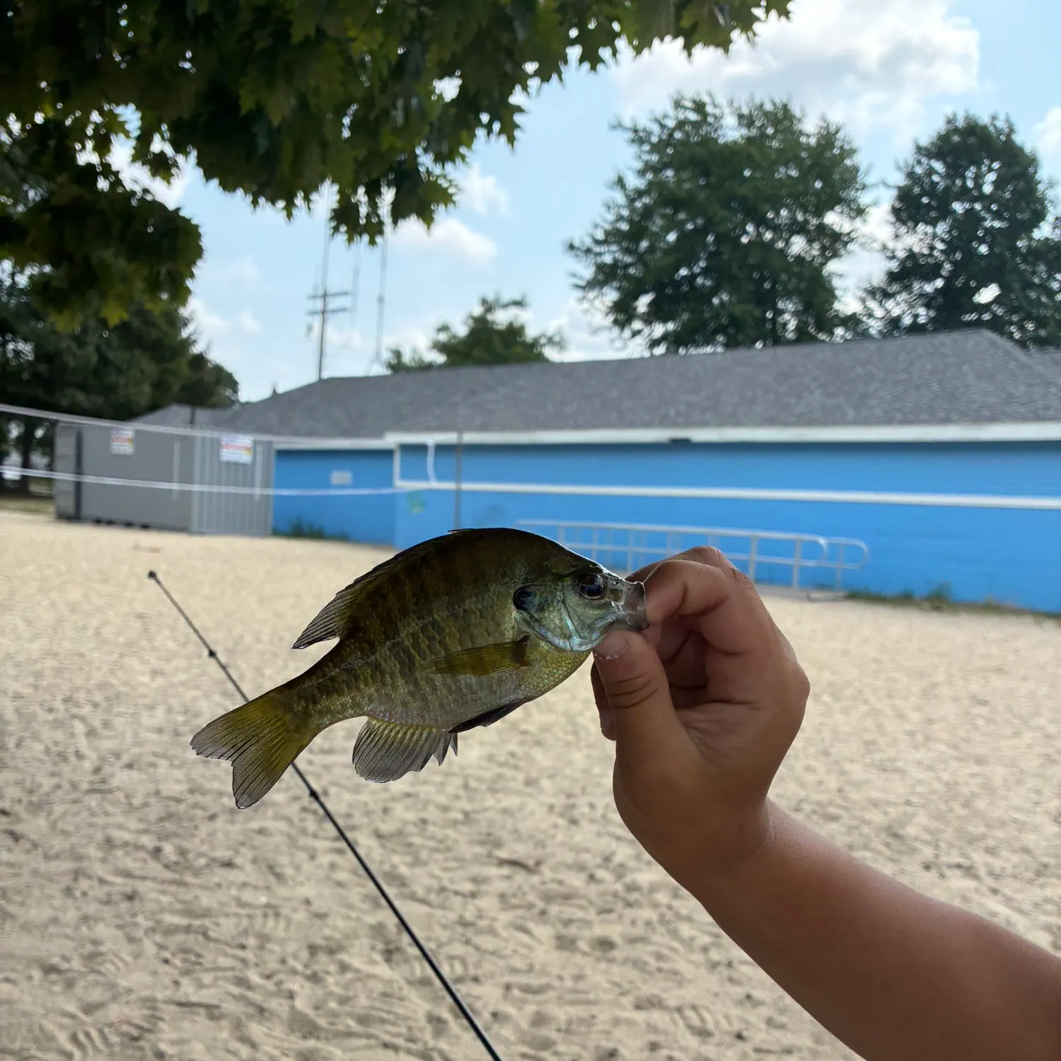 catch