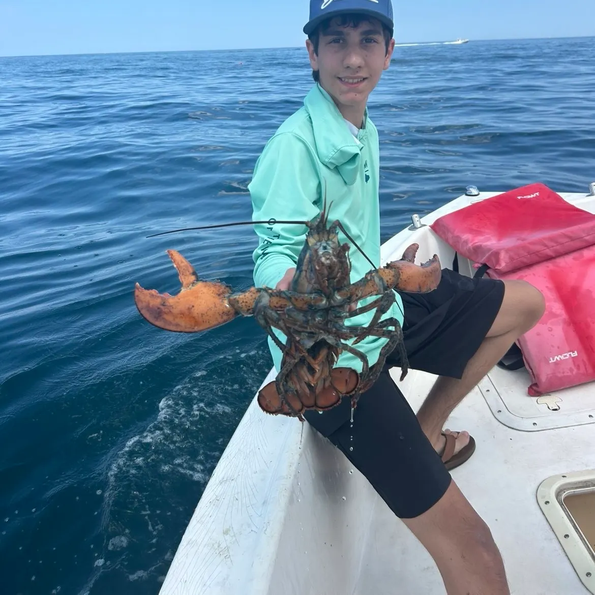 The most recent American lobster catches on Fishbrain