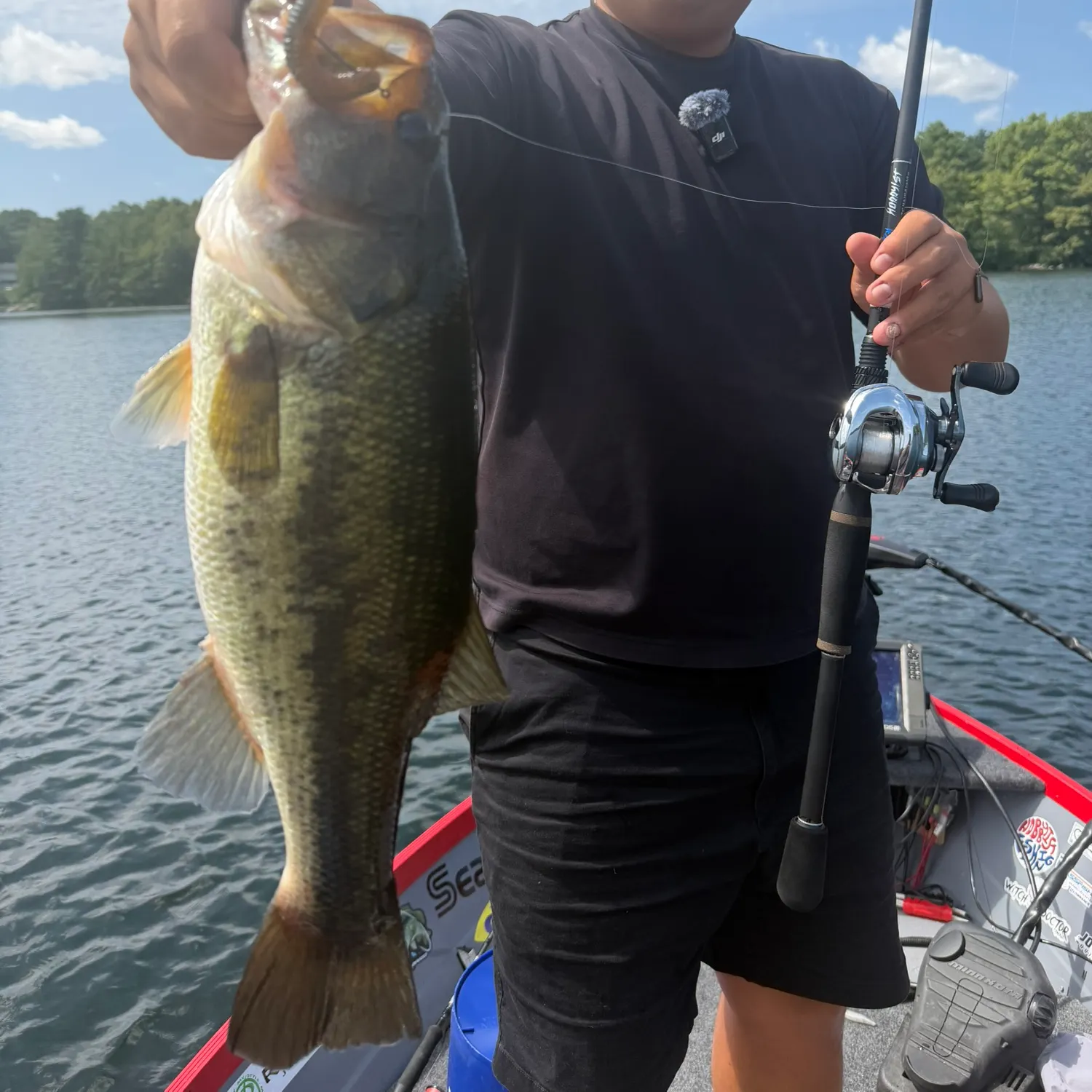 Largemouth bass caught on Fishbrain