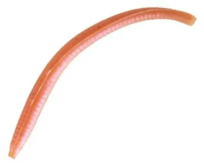 Angleworm Micro Bait
