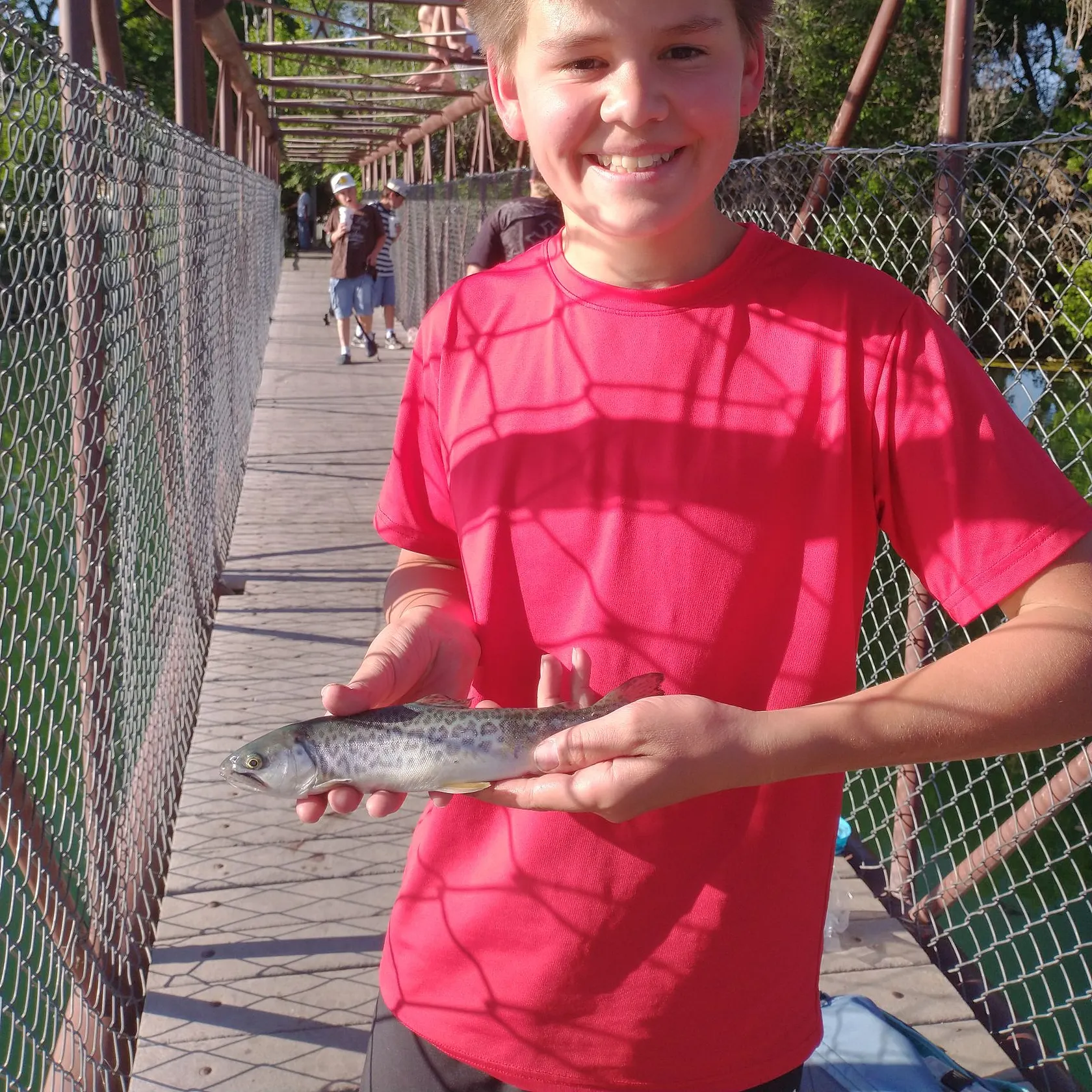 The most recent Tiger trout catches on Fishbrain