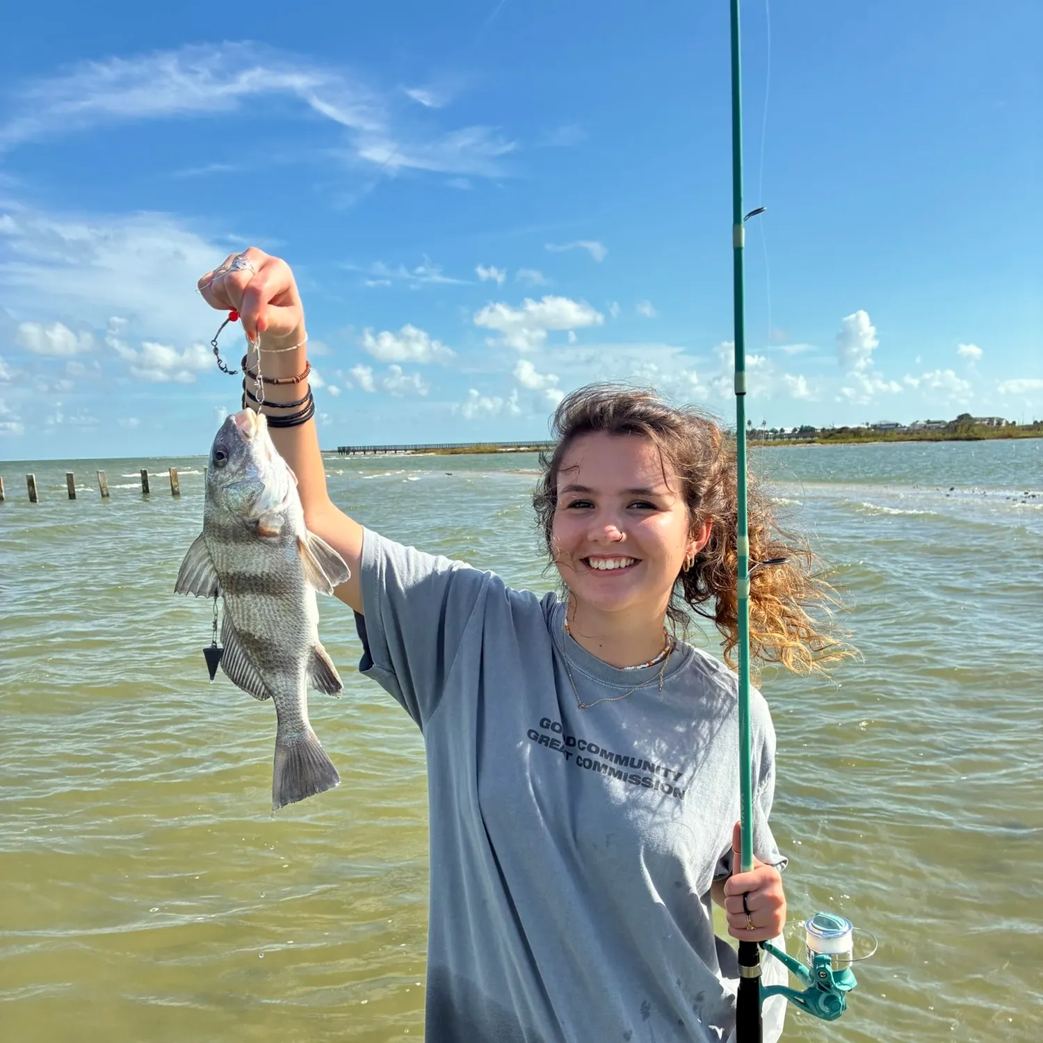 Black drum caught on Fishbrain