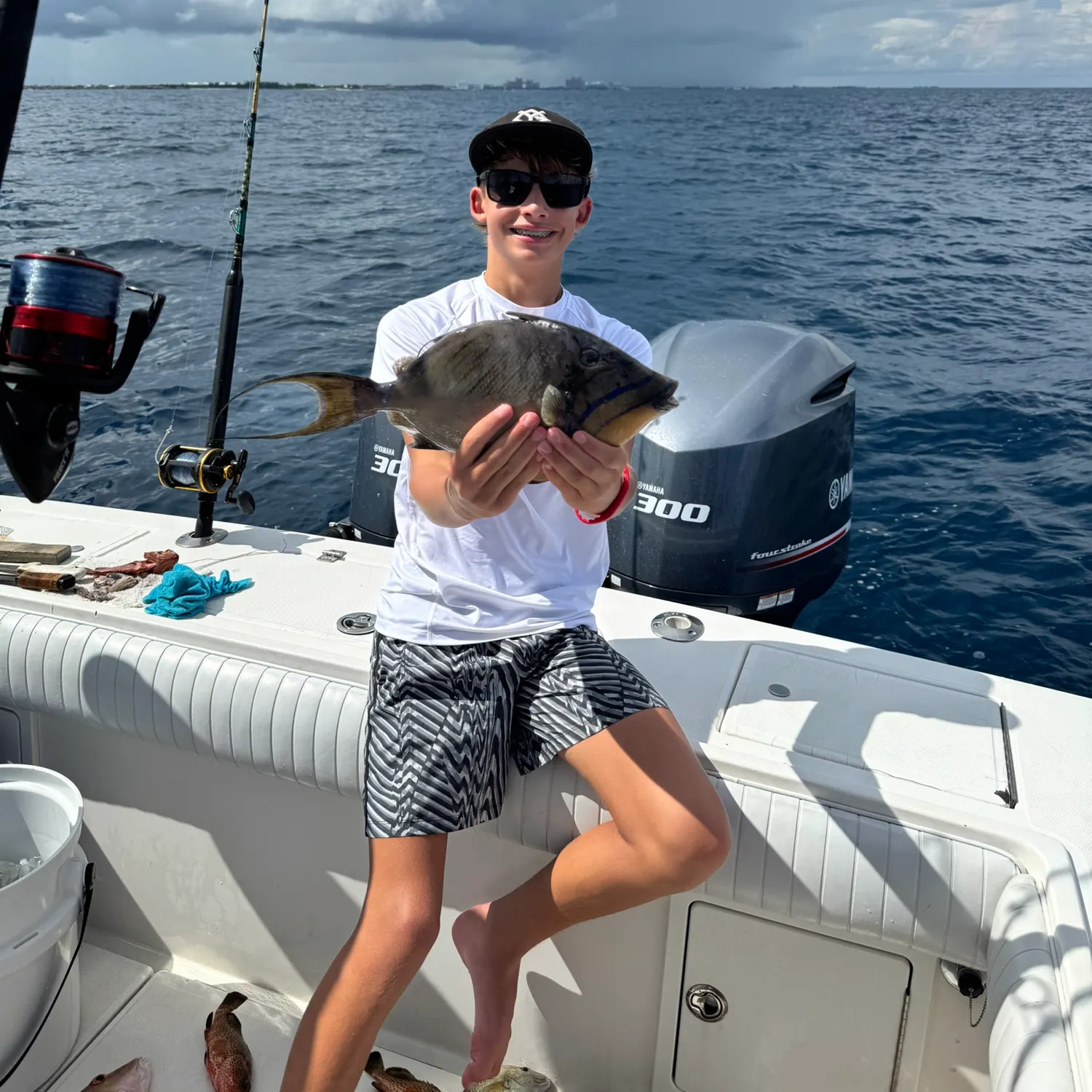 The most recent Grey triggerfish catches on Fishbrain