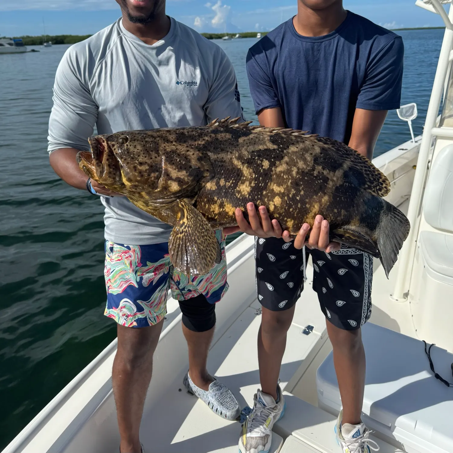 Atlantic goliath grouper caught on Fishbrain