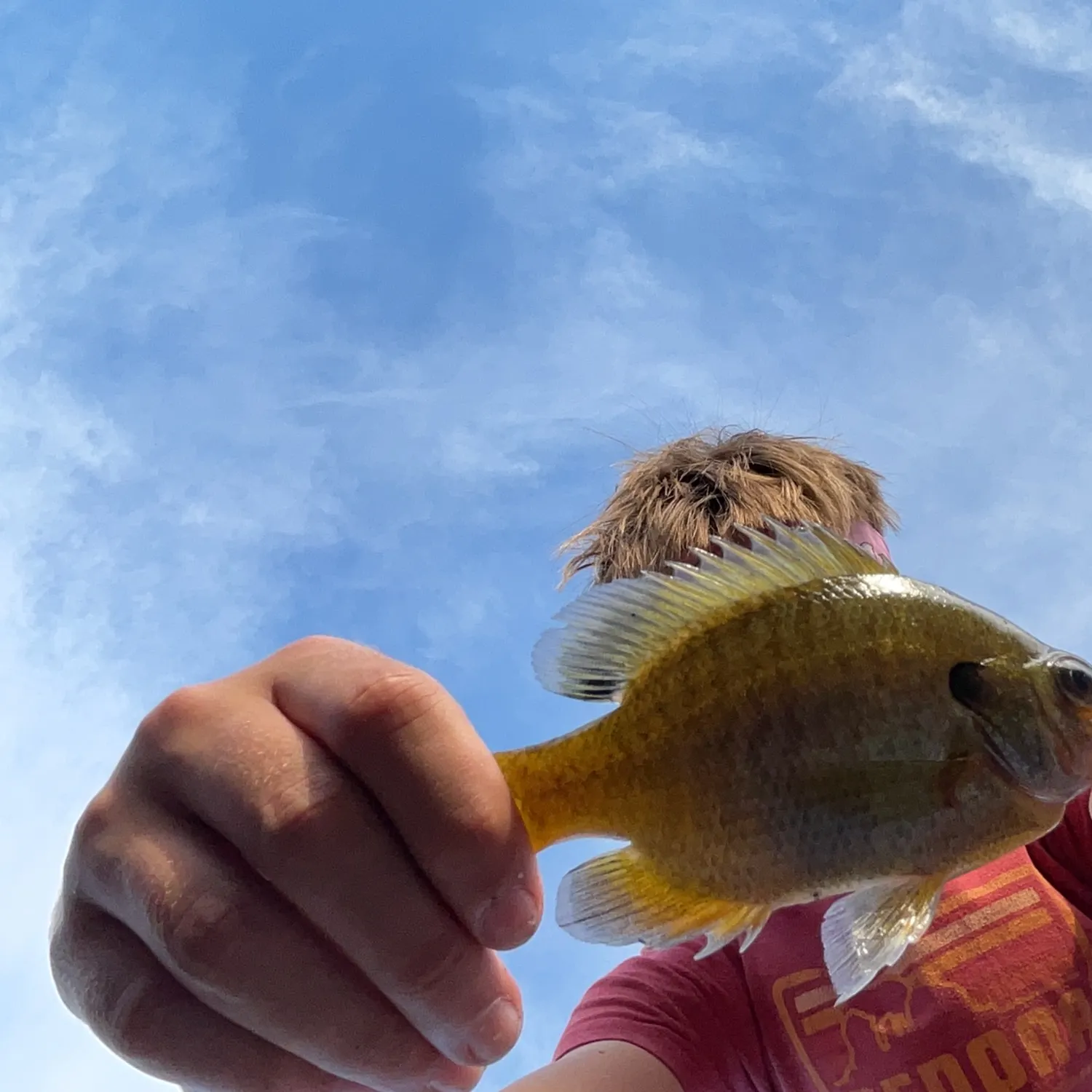 Bluegill caught on Fishbrain