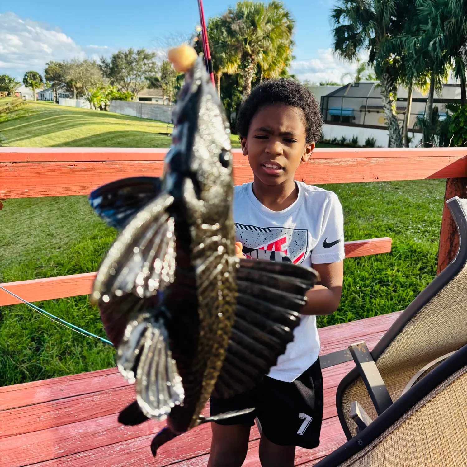 The most recent Amur catfish catches on Fishbrain