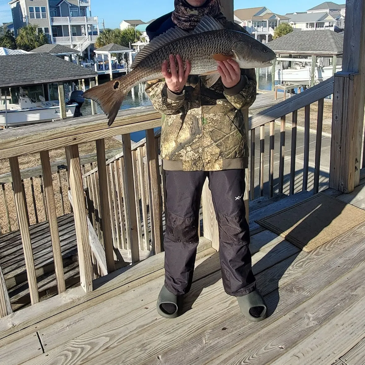 The most recent Red drum catches on Fishbrain