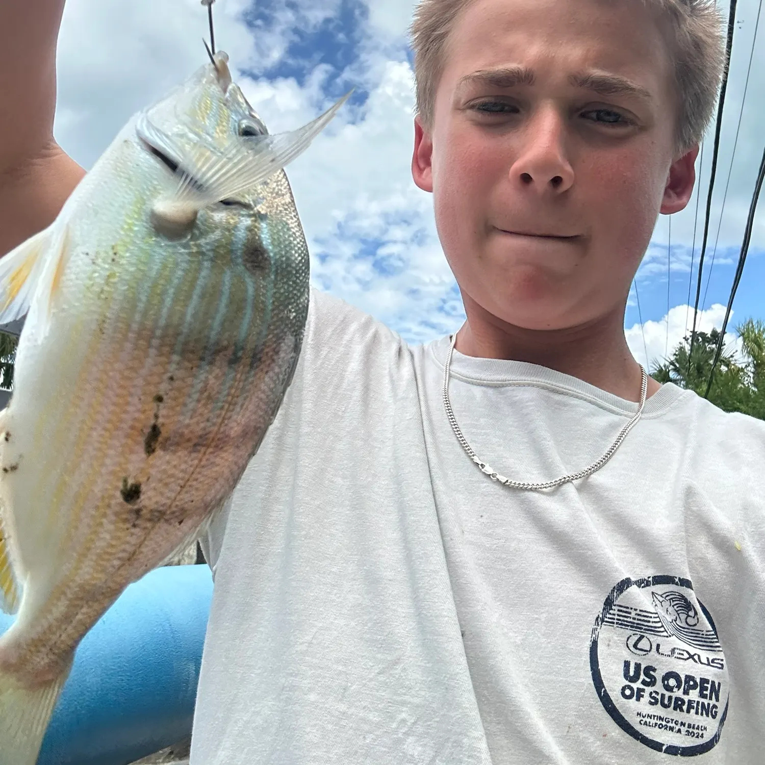 The most recent Pinfish catches on Fishbrain