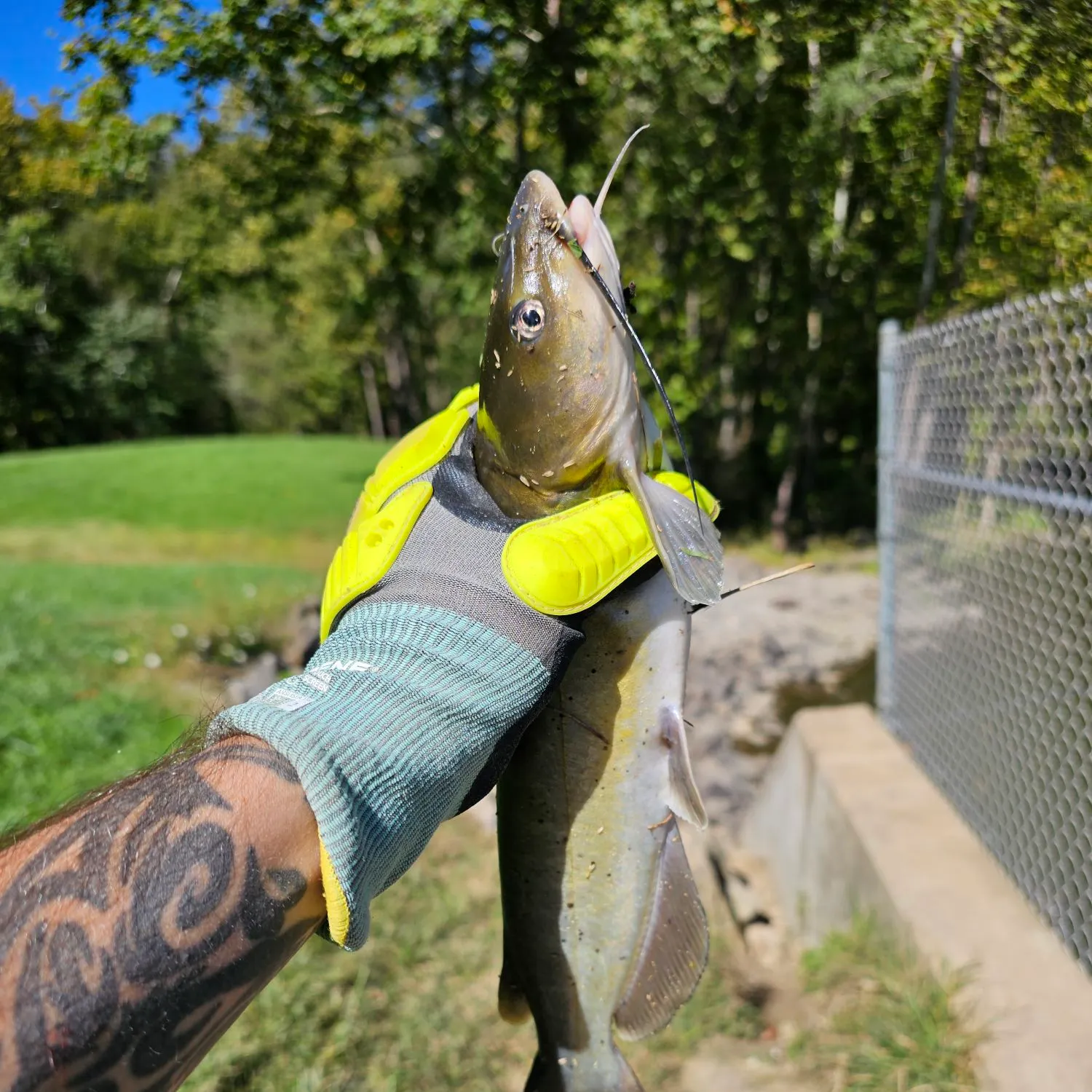 catch