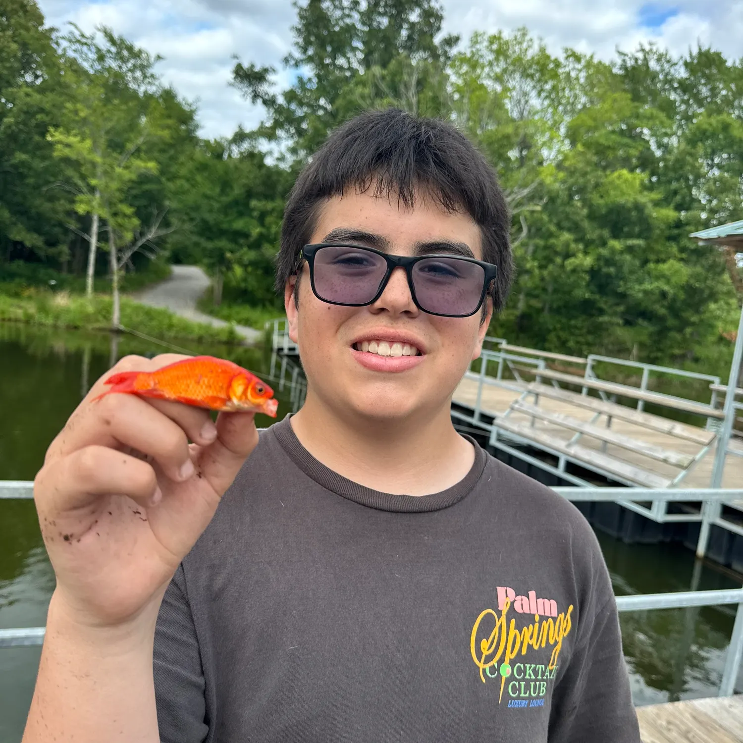 The most recent Goldfish catches on Fishbrain
