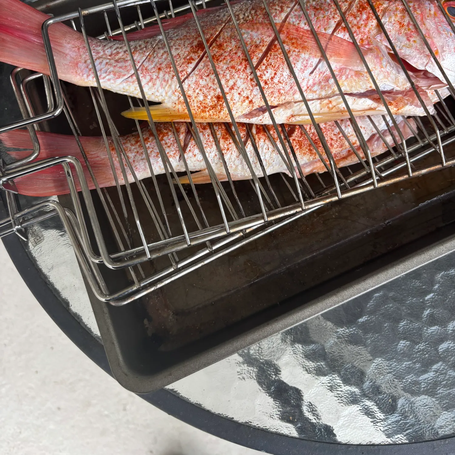 The most popular recent Five-lined snapper catch on Fishbrain
