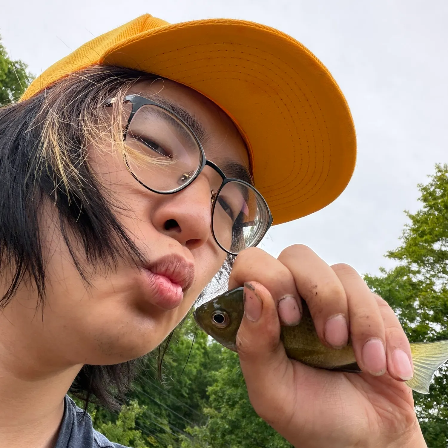 Bluegill caught on Fishbrain