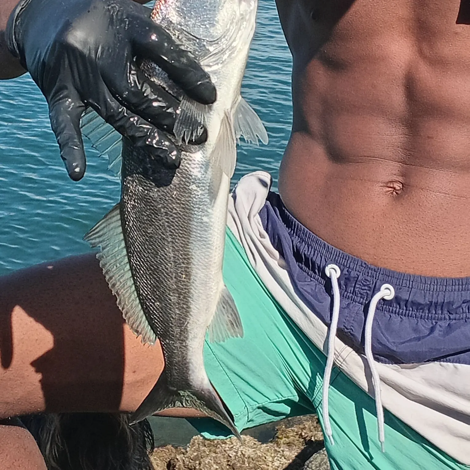 The most recent Orangemouth weakfish catches on Fishbrain