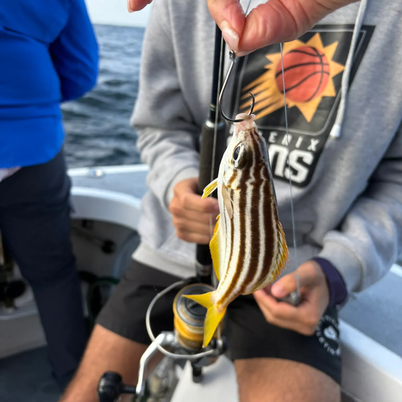 The most recent Stripey catches on Fishbrain